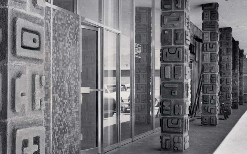 Image for James Savage: The Art of Modern Architecture by Michael Fassett